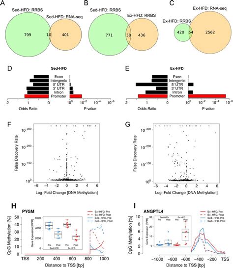 Differential Dna Methylation Following Short Term Hfd With Or Without