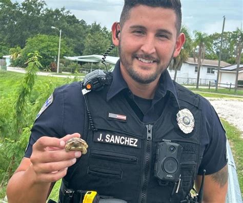 Taco The Tiny Gopher Tortoise Rescued By Bradenton Police Department