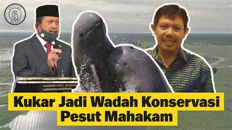 Kukar Jadi Wadah Konservasi Pesut Mahakam Youtube