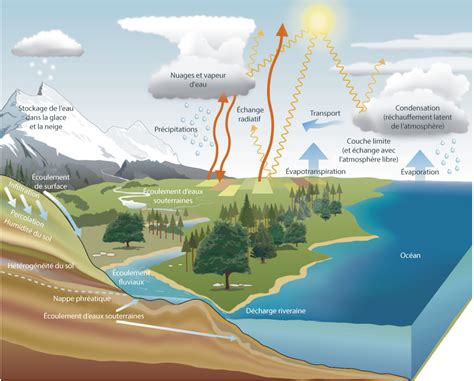 Diagram Of Water Cycle In Biology | Hot Sex Picture