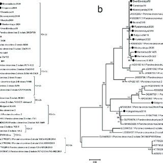 Phylogenetic Trees Of Complete Genome Nucleotide Sequences A And Orf