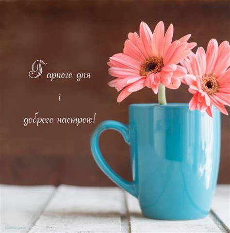 Картинки доброго дня | Morning greeting, Cute mugs, Happy birthday