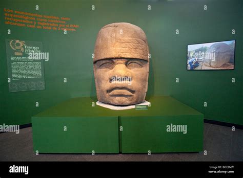 Olmec Colossal Head Sculpture National Museum Of Anthropology Exhibit