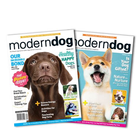 This Weeks Giveaway Modern Dog Magazine