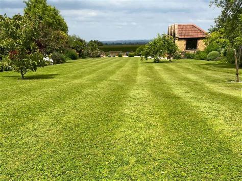 How Often Should You Weed And Feed Your Lawn In The Uk