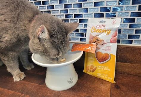 The Best Cat Foods To Hide Pills In Unbiased Review Cats