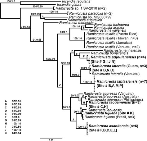 Bayesian Inference Phylogenetic Tree Of A Partitioned Alignment Of