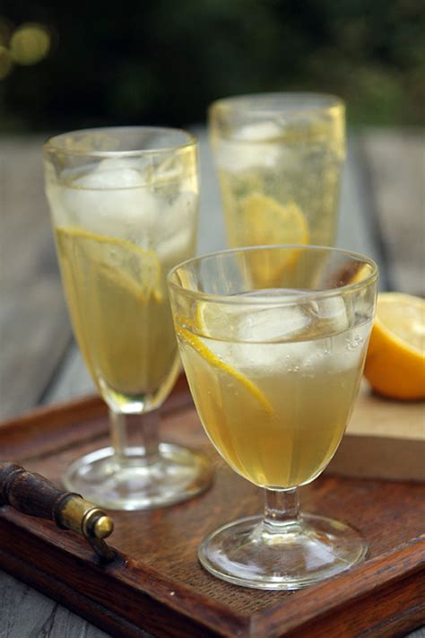 Fresh Ginger Soda Recipe Recipe