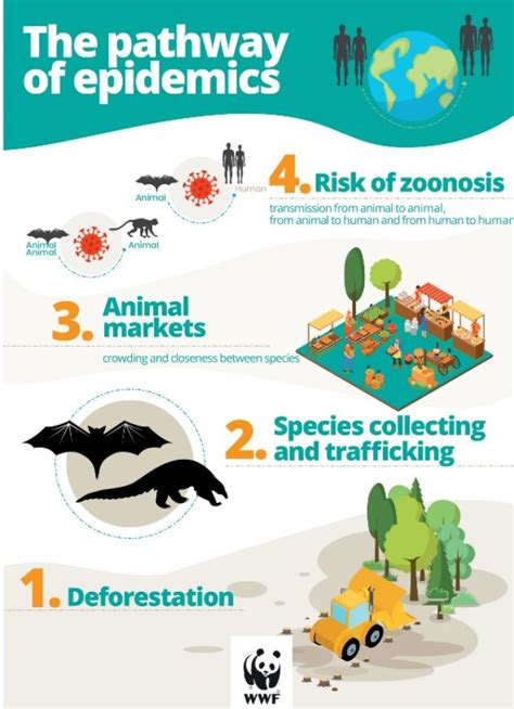 Pandemic: How Biodiversity Will Save Us From Diseases - Ecobnb 
