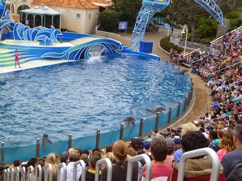 My very own Pensieve.: Sea World - Dolphin show