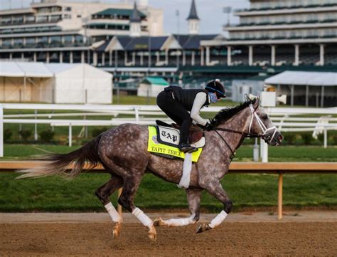 Kentucky Derby Picks 2023 Winners Long Shots And Horses We Like To