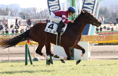 馬名の由来は兵法書「孫子」 1番人気ソンシが力の違い見せつけ3馬身差で完勝／東京7r 3歳馬特集 競馬写真ニュース 日刊スポーツ