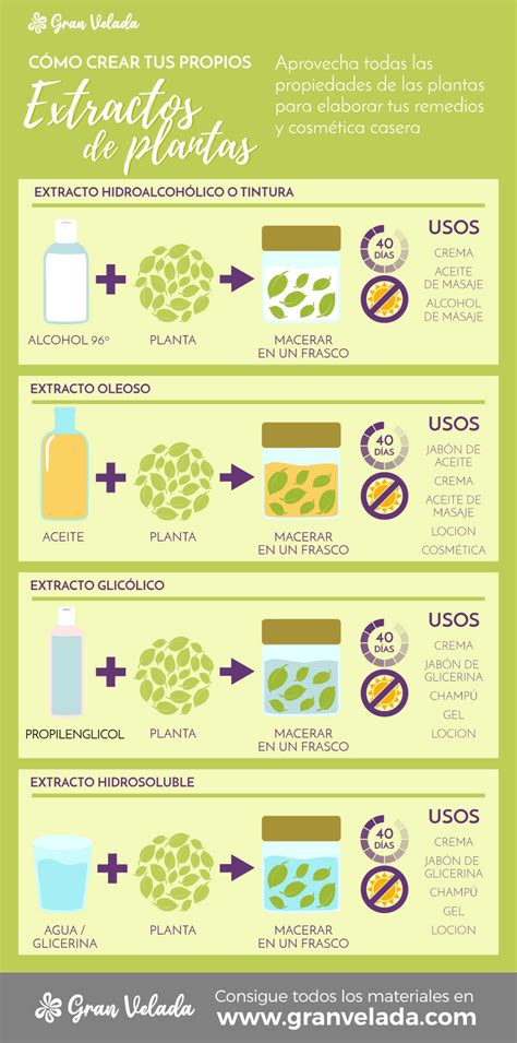 Extractos Vegetales Qu Tipos Hay Diferencias Y C Mo Se Usan