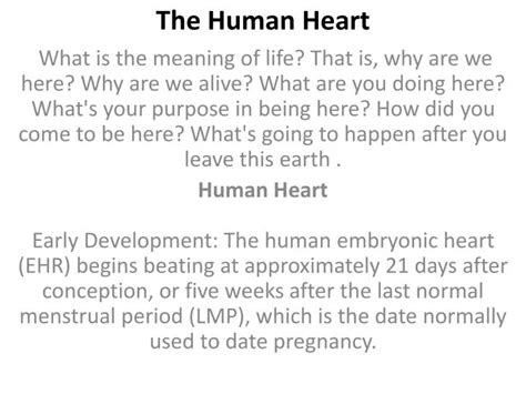 Ppt The Human Heart Powerpoint Presentation Free Download Id 5707167