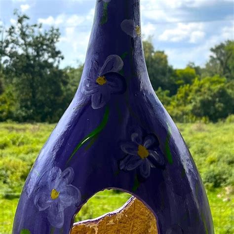 Gourd Bird Feeder Etsy