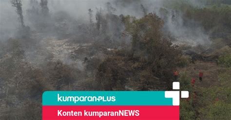 BNPB 99 Persen Karhutla Karena Ulah Manusia Kumparan