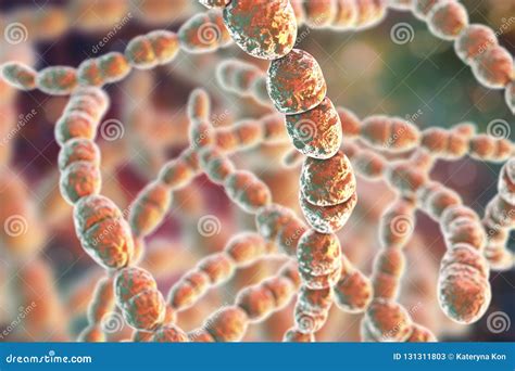 Bacteria Streptococcus Thermophilus Stock Illustration - Illustration ...