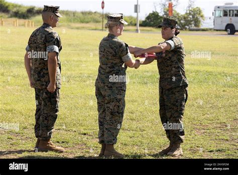 Us Marine Corps Ltcol Erica Mantz Center Marine Aviation Logistics