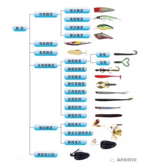 路亚功能分解路亚基础拟饵认知图初学路亚安装图第5页大山谷图库