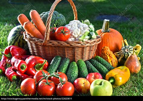 Vielfalt An Frischem Bio Gem Se Und Obst Im Garten Lizenzfreies Bild