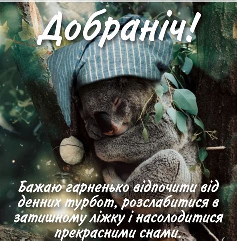 Pin by Marjana on Спокойной ночи | Koala bear, Koala, Animals