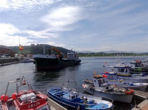 Seguimiento Ambiental Del Dragado Del Puerto De San Juan De La Arena