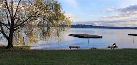 Home Friends Of Seattle S Olmsted Parks