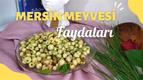 Faydalari Saymakla B Tmeyen Mers N Murt Hambeles Meyves N N