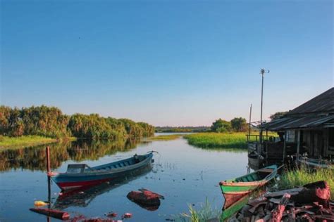 Taman Nasional Sebangau Di Kalimantan Tengah