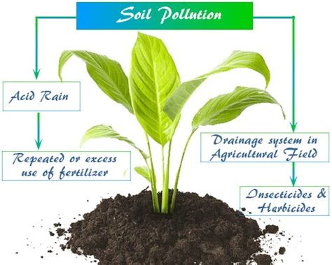 Prevention Of Soil Pollution