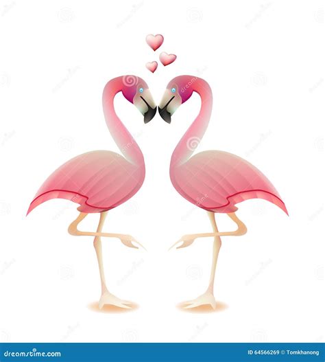 Flamingos Heart Love Valentine Concept Stock Vector Illustration Of