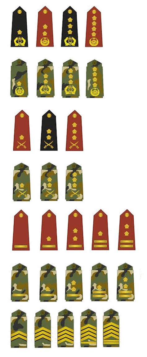 Afghan National Army Rank Insignia