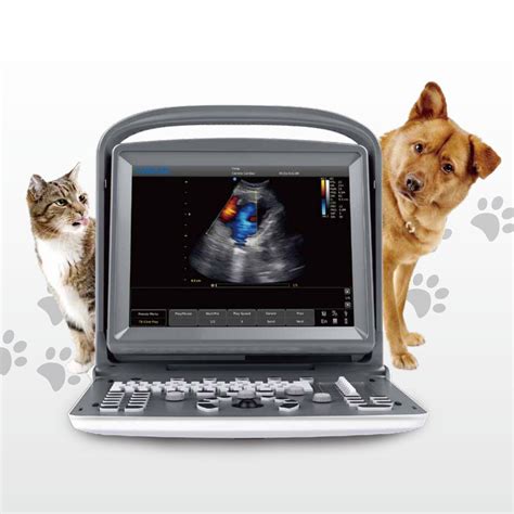 Wholesaler Price Chison Eco Vet Portable Ultrasound Color Doppler Full