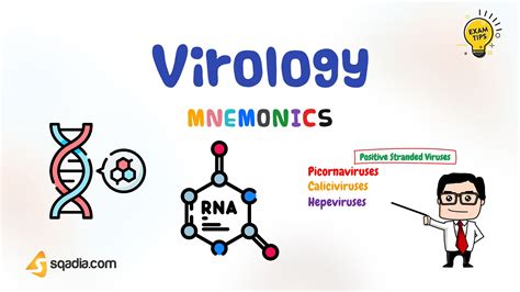 Microbiology Mnemonics Virology Mnemonics