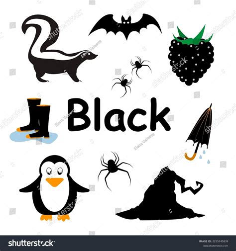 Black Color Flash Cards Learning Practicing Stock Vector (Royalty Free ...