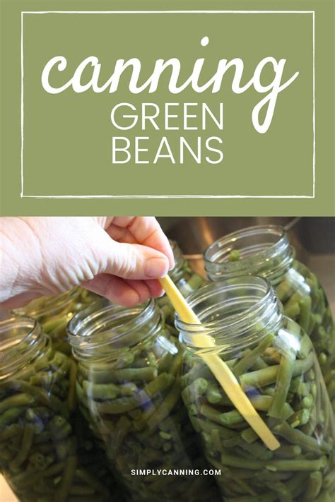 Canning Green Beanscan You Do It Without A Pressure Canner Learn