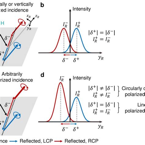 PDF Spin Hall Effect Of Light Under Arbitrarily Polarized And