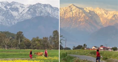 Himachal Pradesh: Video Of Life In Kangra Valley Goes Viral