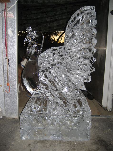 Images in Ice - Performance Ice Carving!