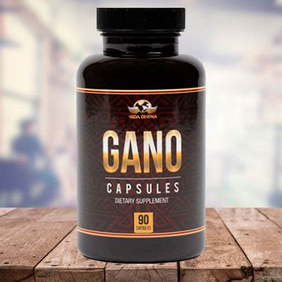 Ganoderma Lucidum El Rey De Los Hongos Tu Divina Salud