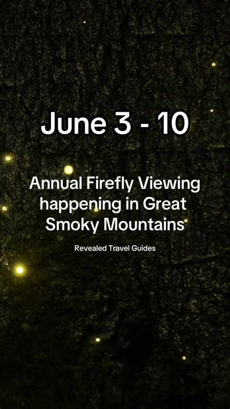 Synchronous Firefly Lottery And Viewing Dates For 2024 The Mating