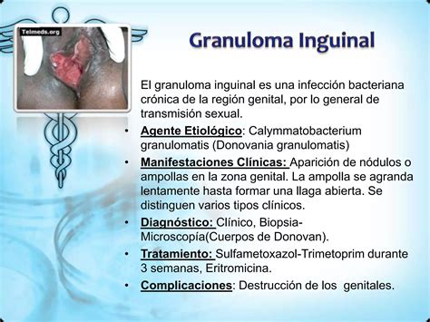 Infecciones Del Tracto Genital Inferior Ppt