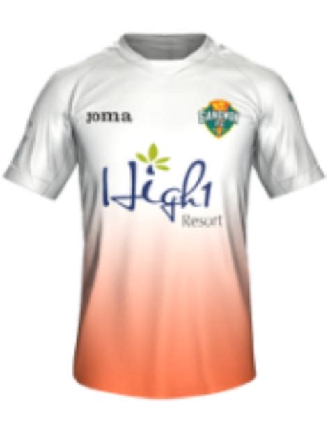 Gangwon Fc Away Kit