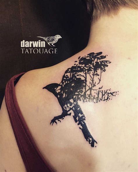 Back Shoulder Hawk Tattoo Best Tattoo Ideas Gallery