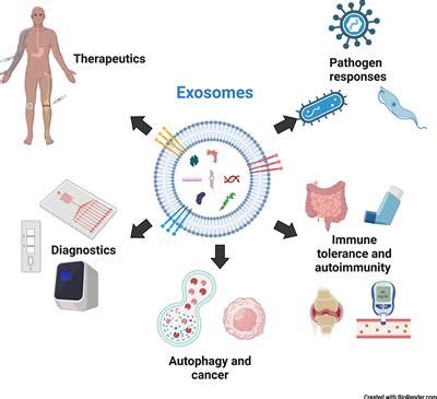 Frontiers The Emerging Role Of Exosomes In Innate Immunity Diagnosis