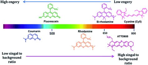 Near Infrared Fluorescent Probes A Next Generation Tool For Protein