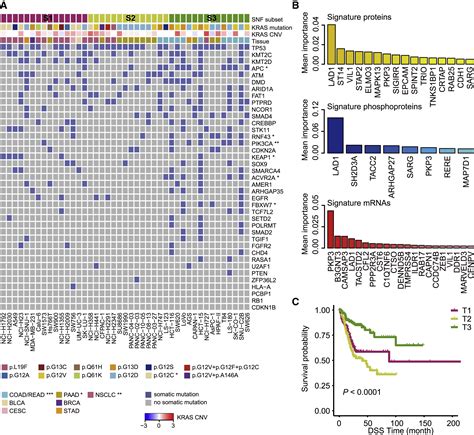 A Proteomic And Phosphoproteomic Landscape Of KRAS Mutant Cancers