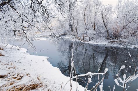 Winter Free Stock Photo - Public Domain Pictures