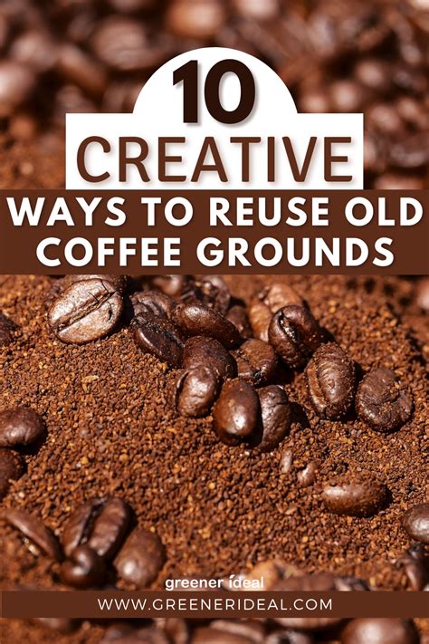 Creative Ways To Reuse Old Coffee Grounds Reduce Food Waste Food