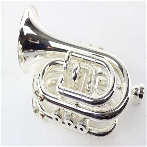 Tsts Beginner Brass Instrument B Flat Mini Trumpet Silver